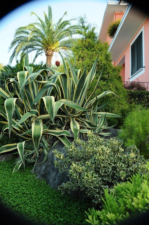 Residence La Cycas Villammare Exteriör bild